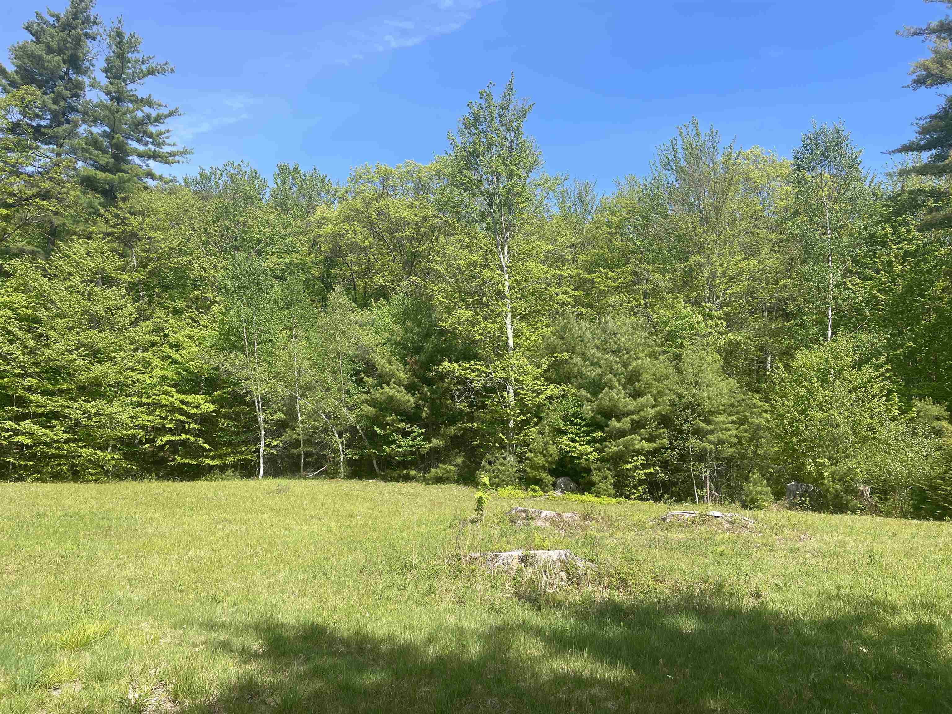 491 Whitneyville Road Halifax, VT 05358 - Photo 4 of 11