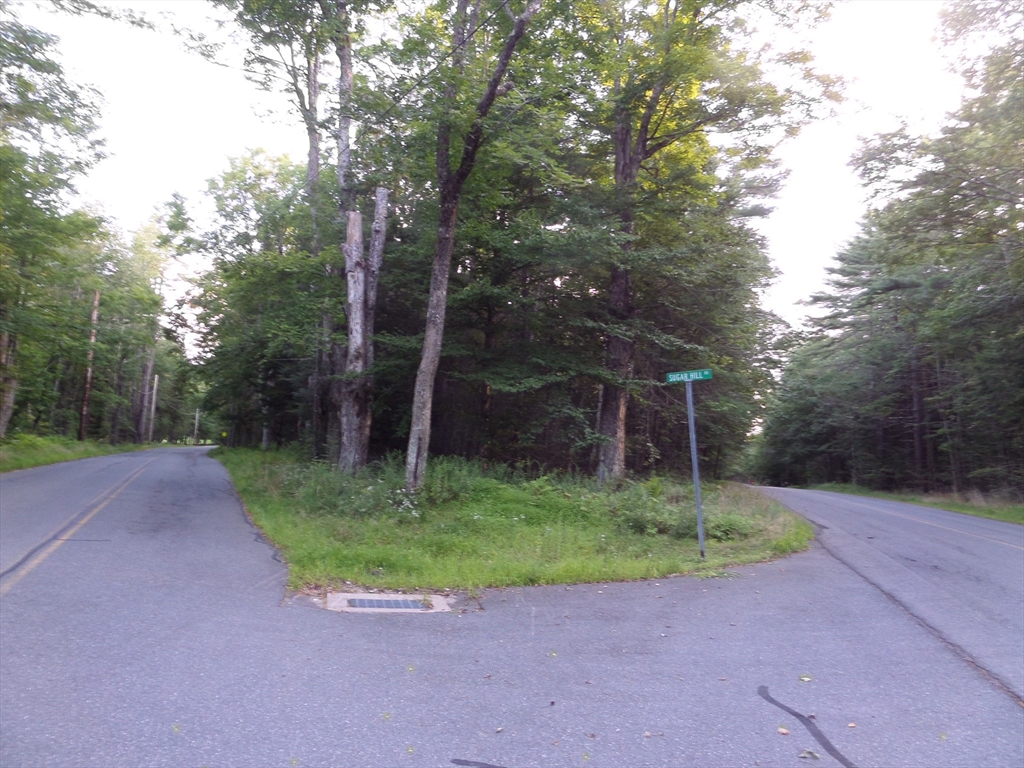 0 Damon Pond Road Chesterfield, MA 01012 - Photo 3 of 7 a view of a house with a yard