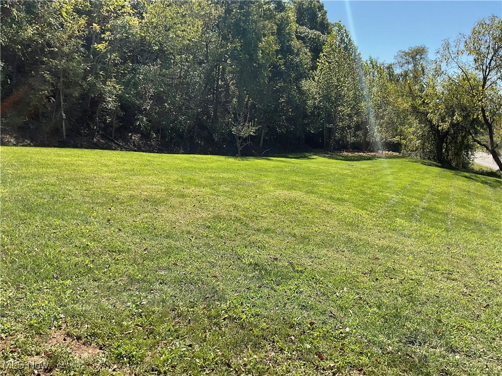 5256 Ravenswood Road Ravenswood, WV 26164 - Photo 26 of 27