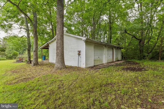 a backyard of a house with plants and large tree