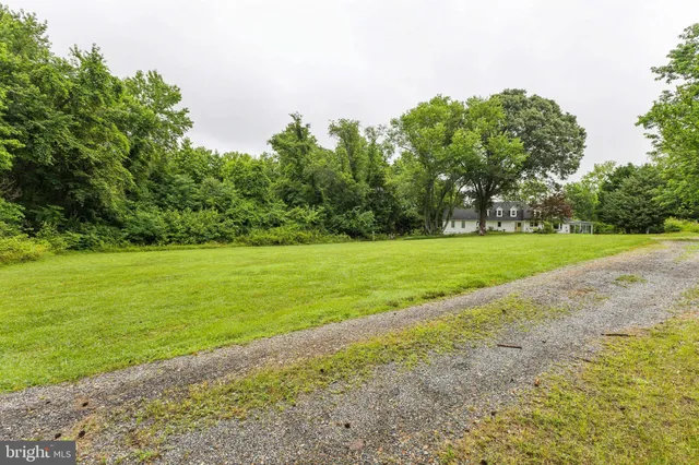 a view of a field with an trees in the background