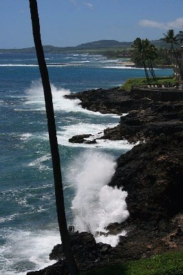 1677 Pe'e Road, Unit D3 Poipu, HI 96756 - Photo 19 of 25 Gallery Image 19