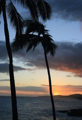 1677 Pe'e Road, Unit D3 Poipu, HI 96756 - Photo 20 of 25 Gallery Image 20