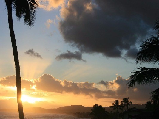 1677 Pe'e Road, Unit D3 Poipu, HI 96756 - Photo 21 of 25 Gallery Image 21