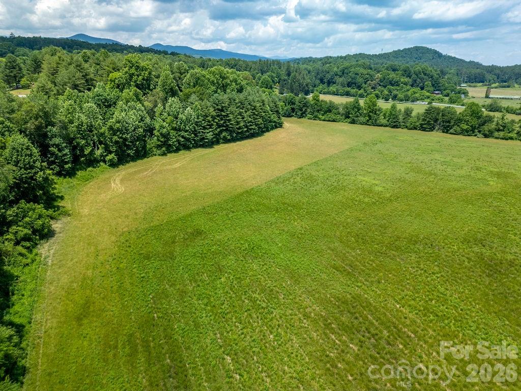 Mini Farm 2-tbd Mini Farm Brevard, NC 28712 - Photo 17 of 20