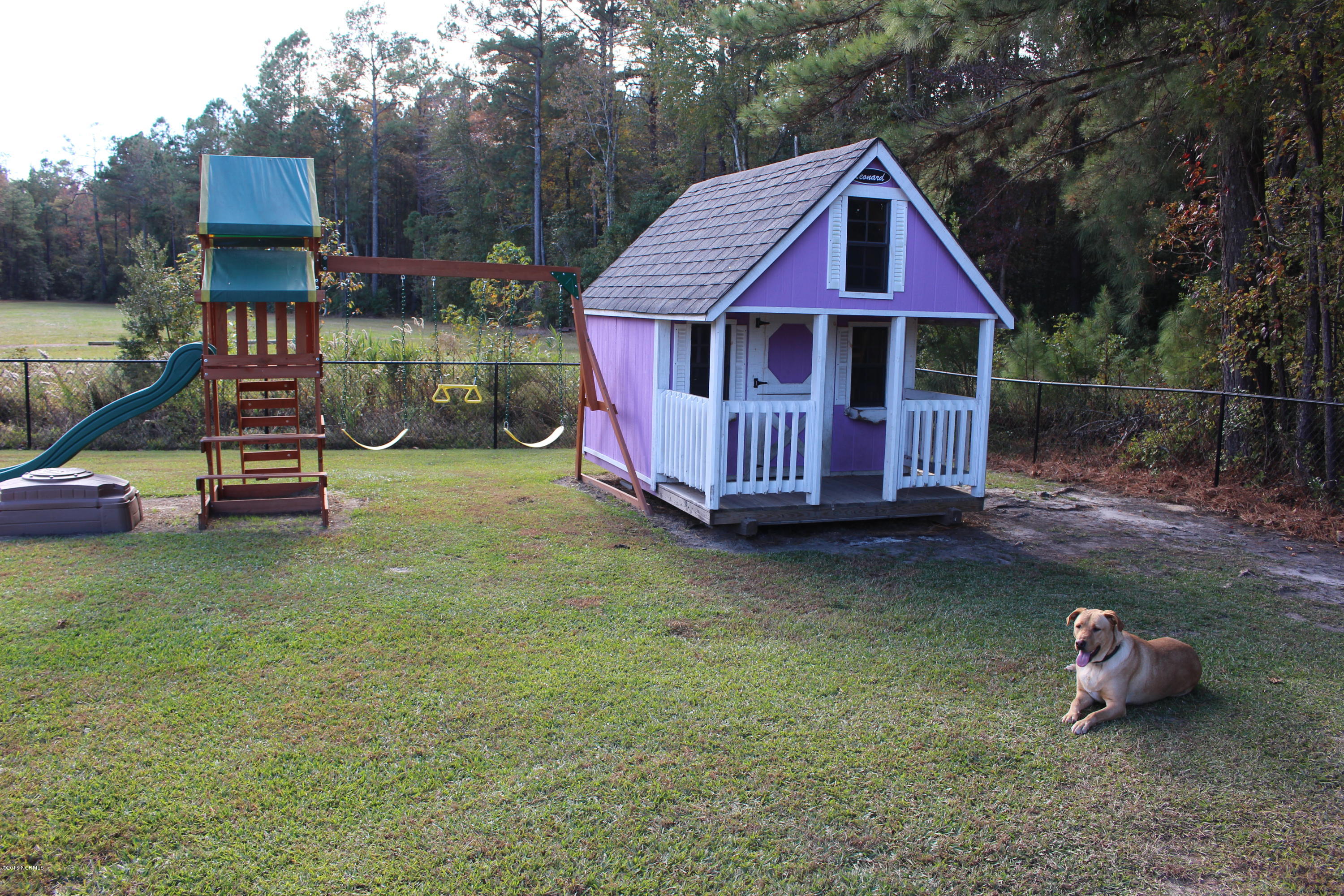 80 Pocosin Road Washington, NC 27889 - Photo 23 of 33 Fantastic Playhouse