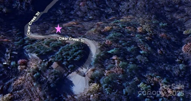 a view of a yard with large trees