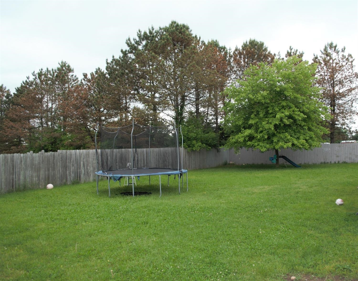 9207 Martz Road Ypsilanti, MI 48197 - Photo 2 of 12 Photo 2