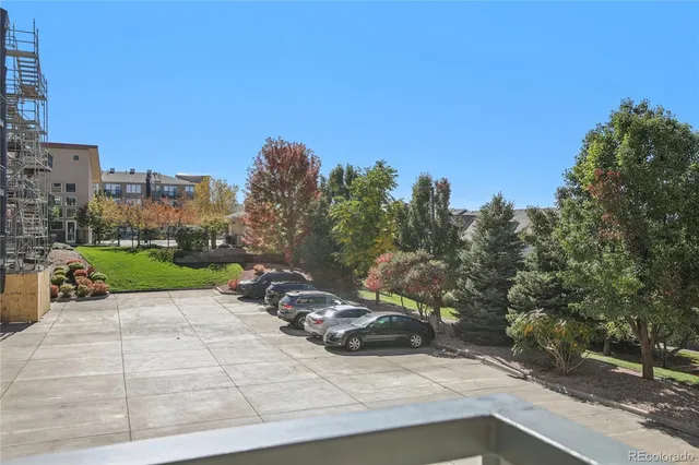 a view of a park with large trees