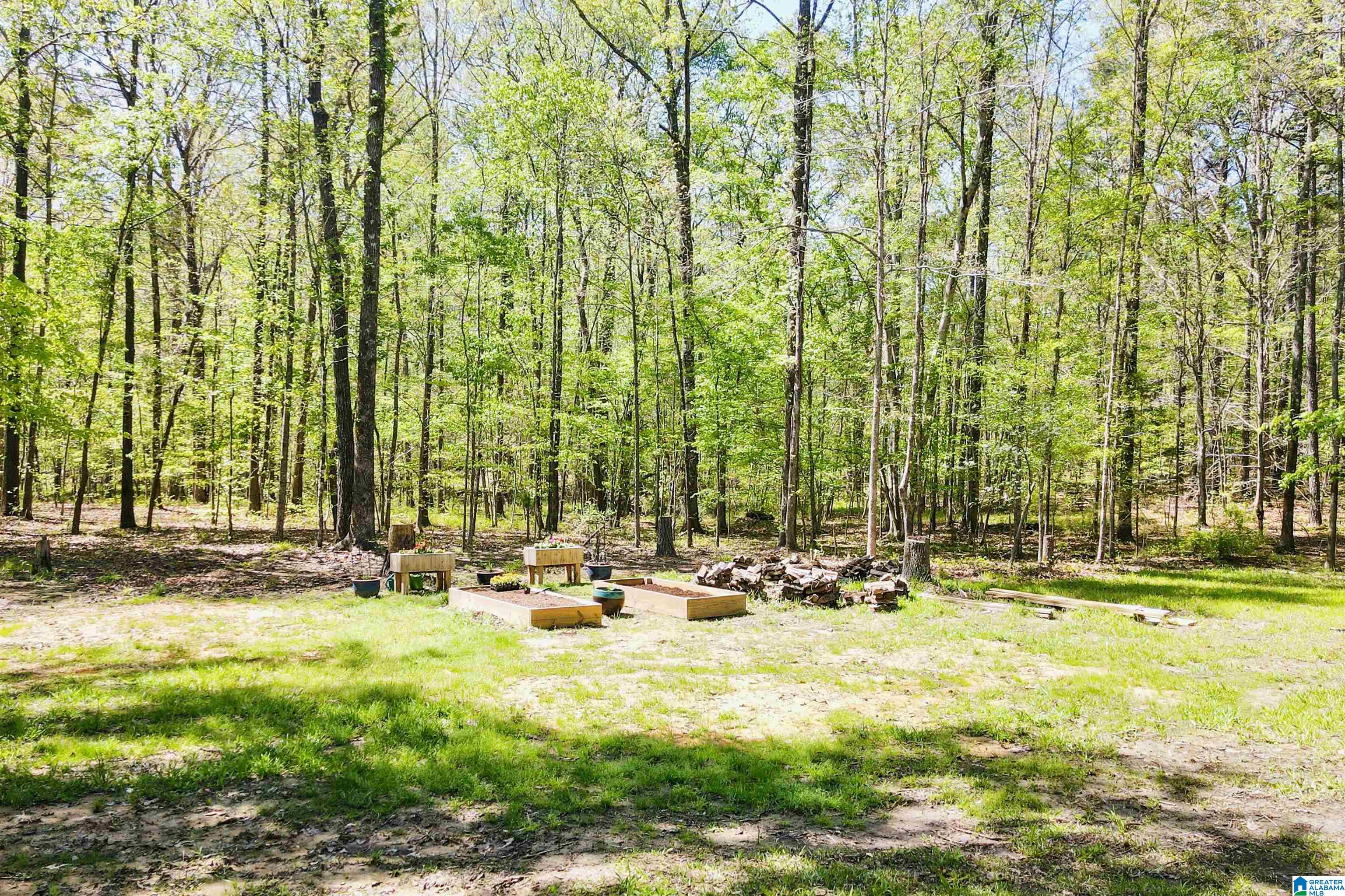 370 Dorough Road Columbiana, AL 35051 - Photo 65 of 89 Gallery Image 65