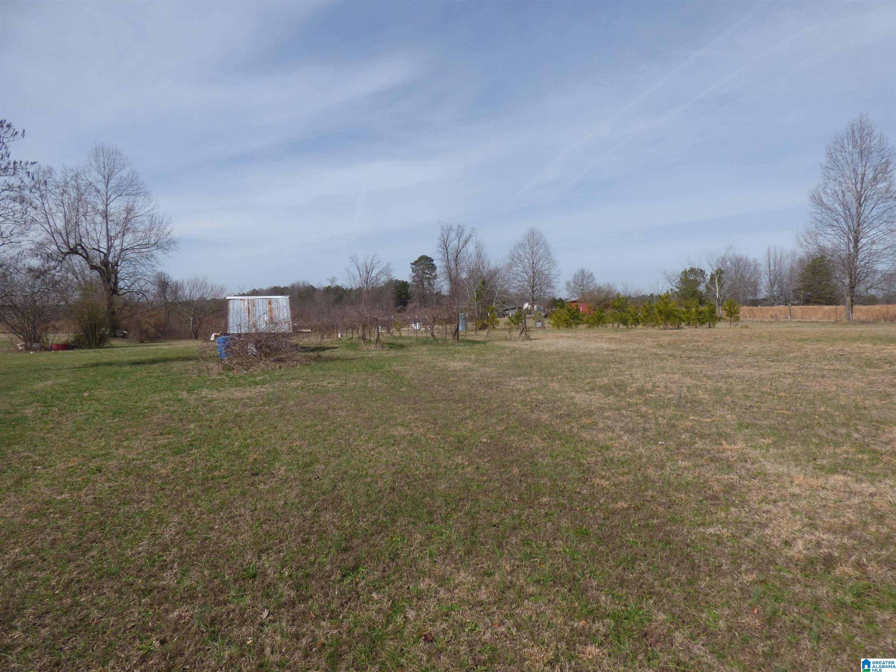 114 Haynes Road Altoona, AL 35952 - Photo 7 of 49