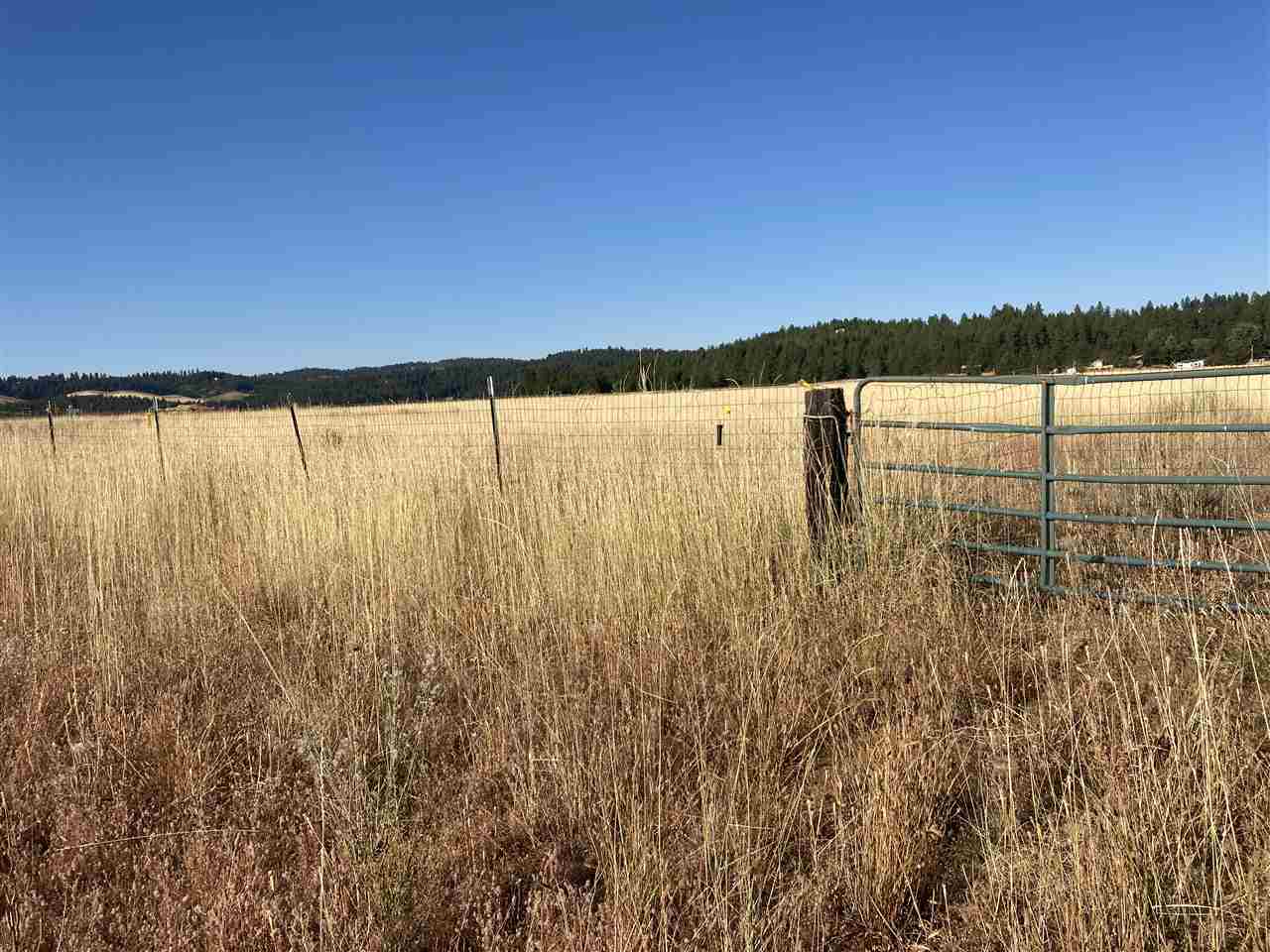 20511 North Austin Road Colbert, WA 99005 - Photo 18 of 26