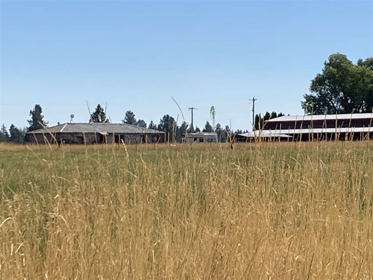 20511 North Austin Road Colbert, WA 99005 - Photo 20 of 26