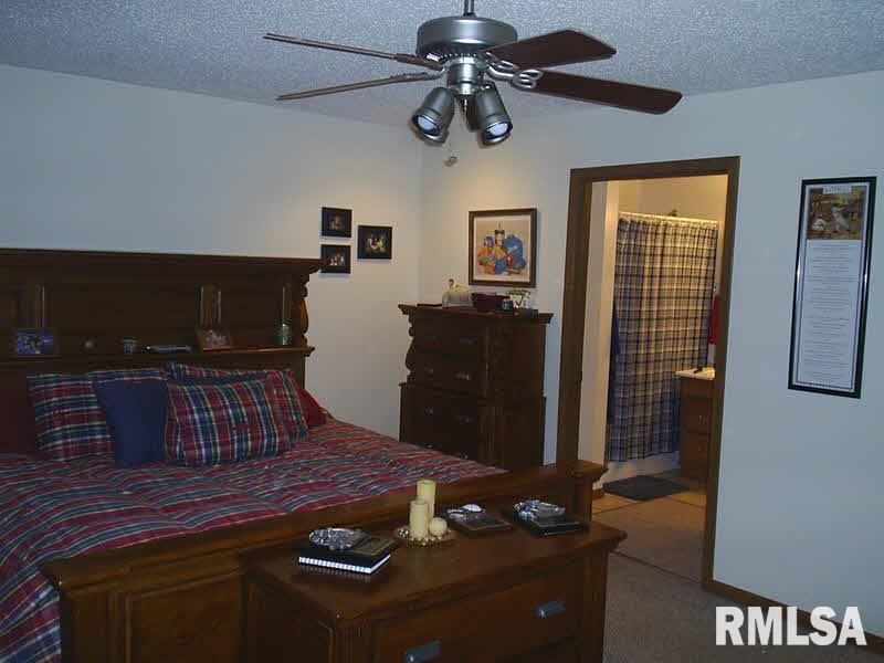 12163 Strawberry Road Carbondale, IL 62901 - Photo 9 of 12