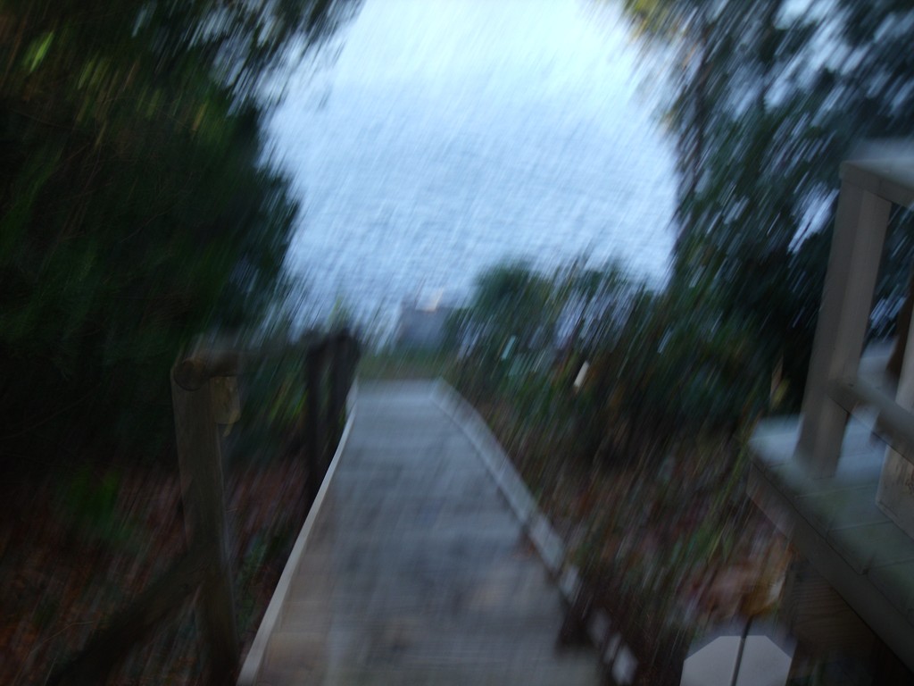 176 South Chesterfield Road Goshen, MA 01096 - Photo 16 of 21 a view of a pathway