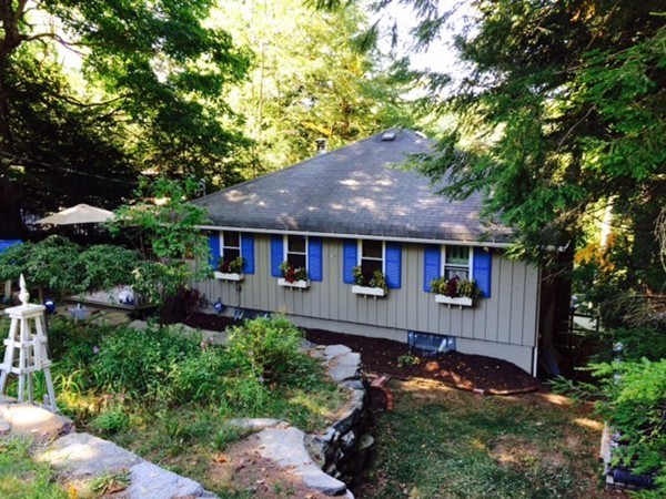 176 South Chesterfield Road Goshen, MA 01096 - Photo 2 of 21 a view of a house with a yard plants and large tree