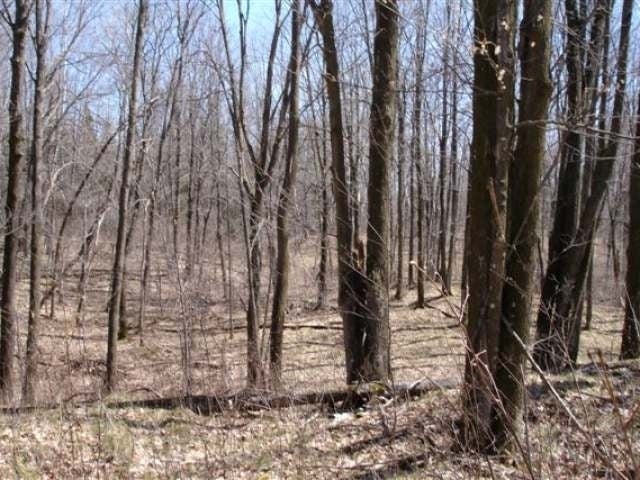 On On Clausen Road Prentice, WI 54556 - Photo 2 of 14 Gallery Image 2