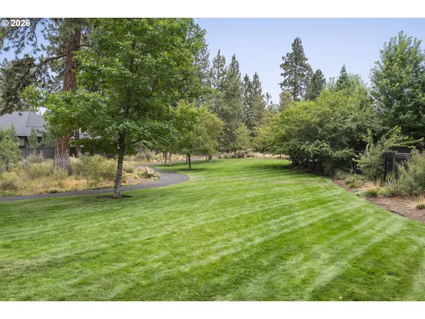 a view of a green yard