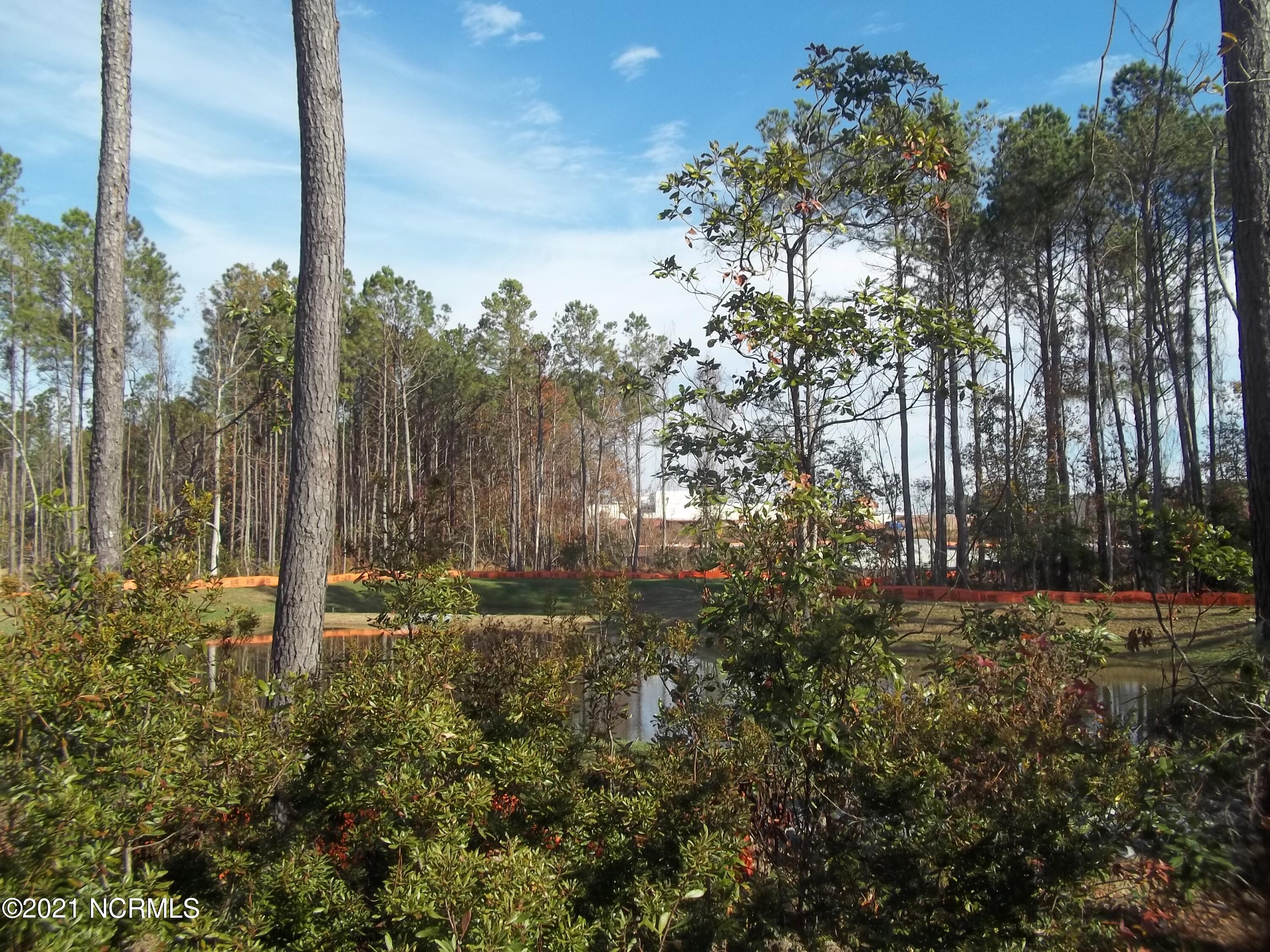 507 Trellis Road Hampstead, NC 28443 - Photo 22 of 57 100_3293