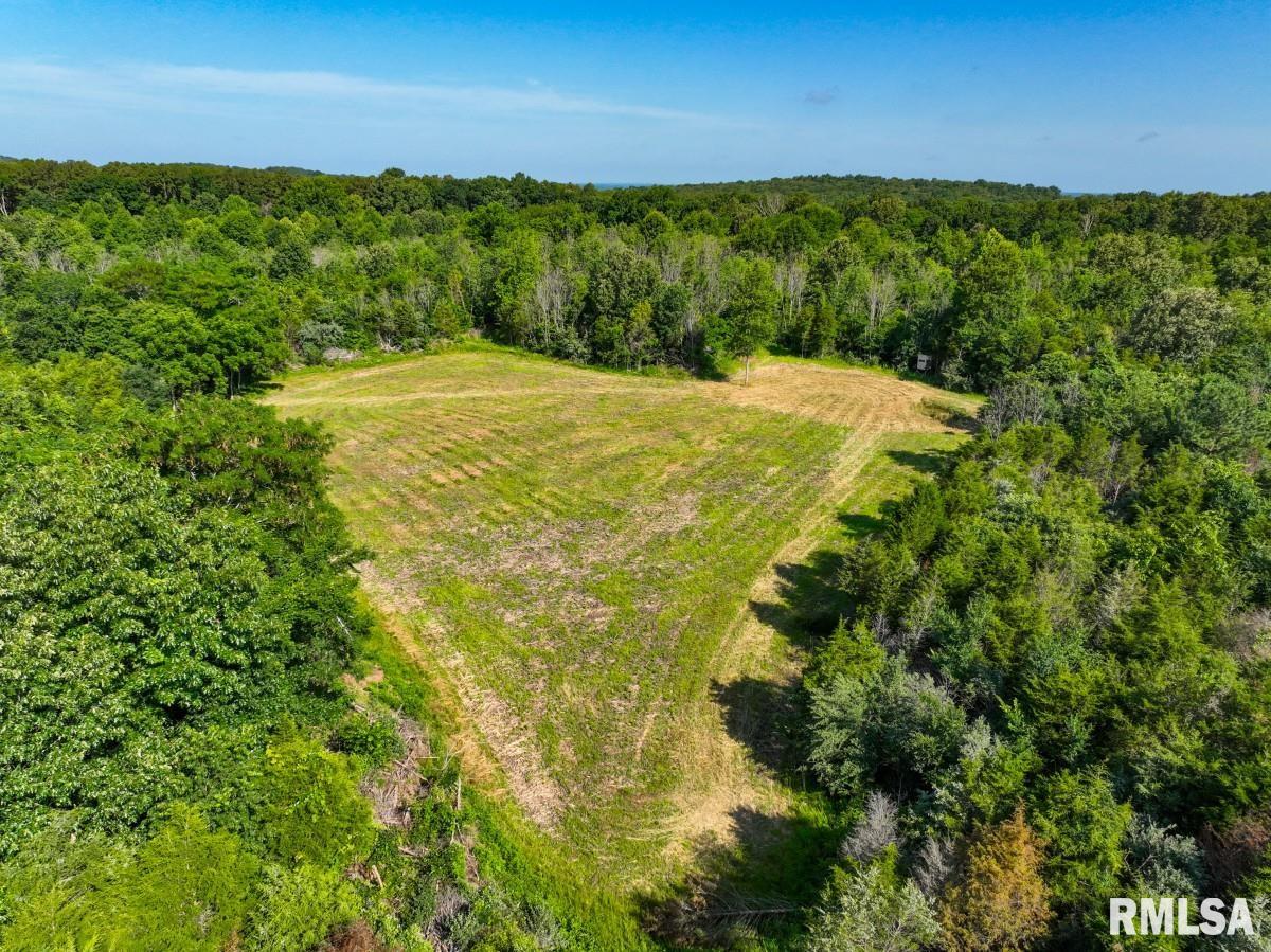 0 Tom Dick Hill Road Stonefort, IL 62987 - Photo 24 of 62