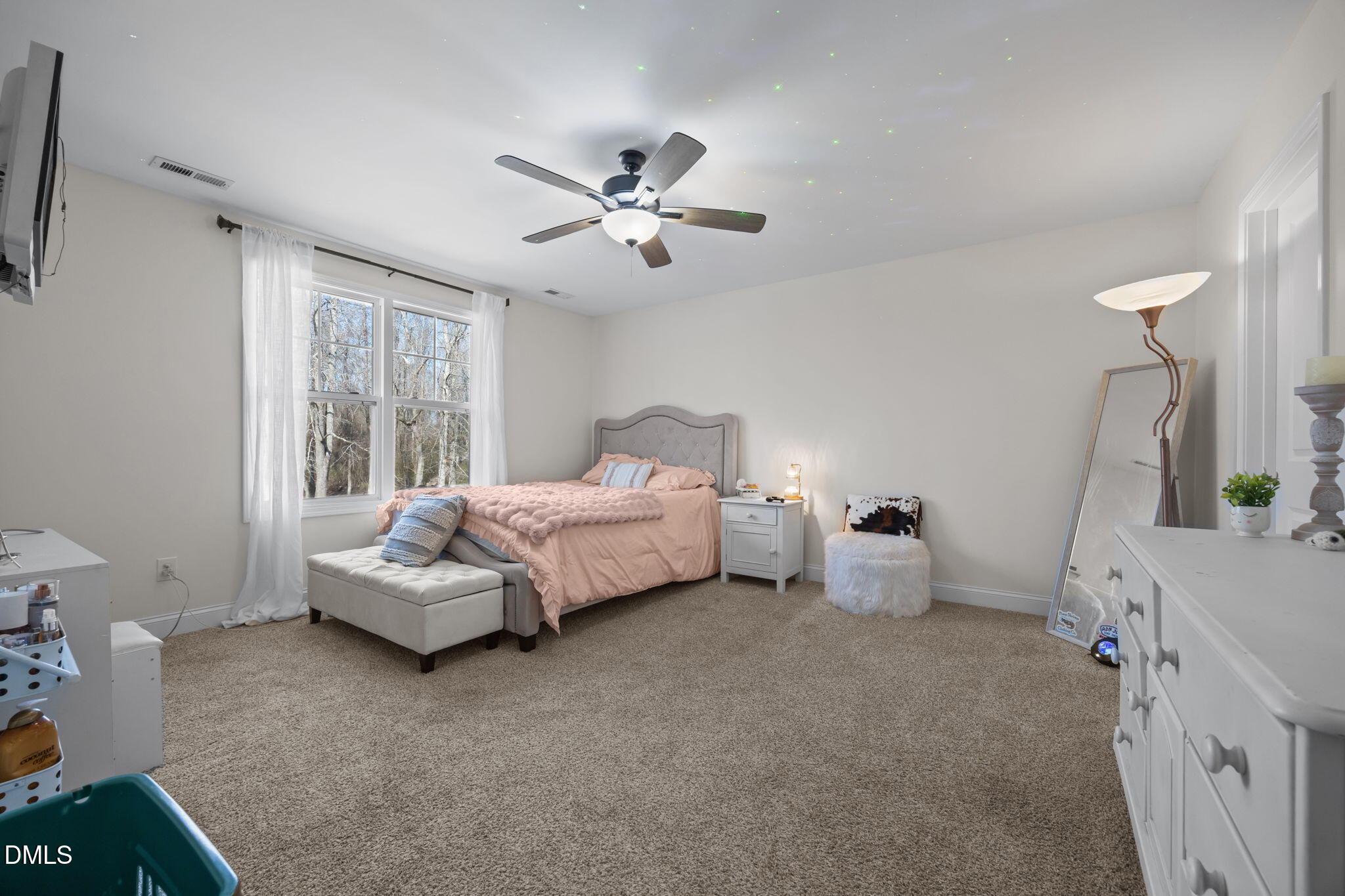 209 Mitchell Manor Drive Angier, NC 27501 - Photo 24 of 50 27-web-or-mls-IMG_2384