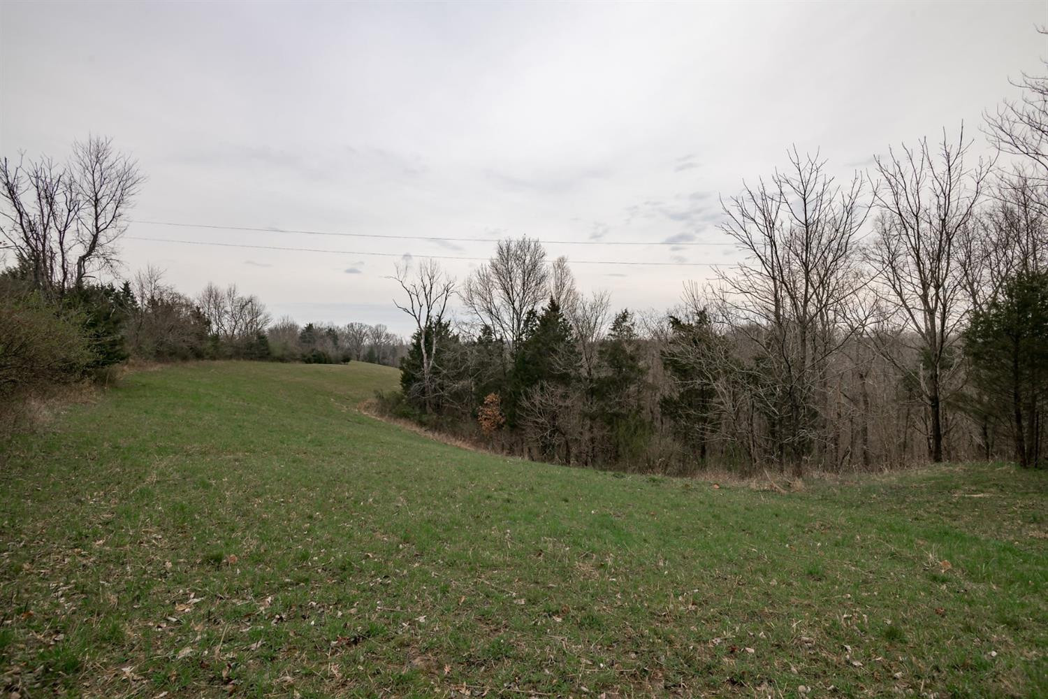 1255 Corinth Road Lawrenceburg, KY 40342 - Photo 22 of 38 Photo 22