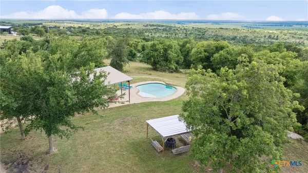 a view of a backyard with plants and a yard