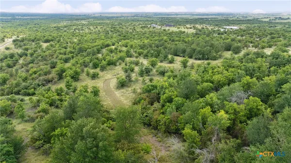 a view of a green field with lots of bushes