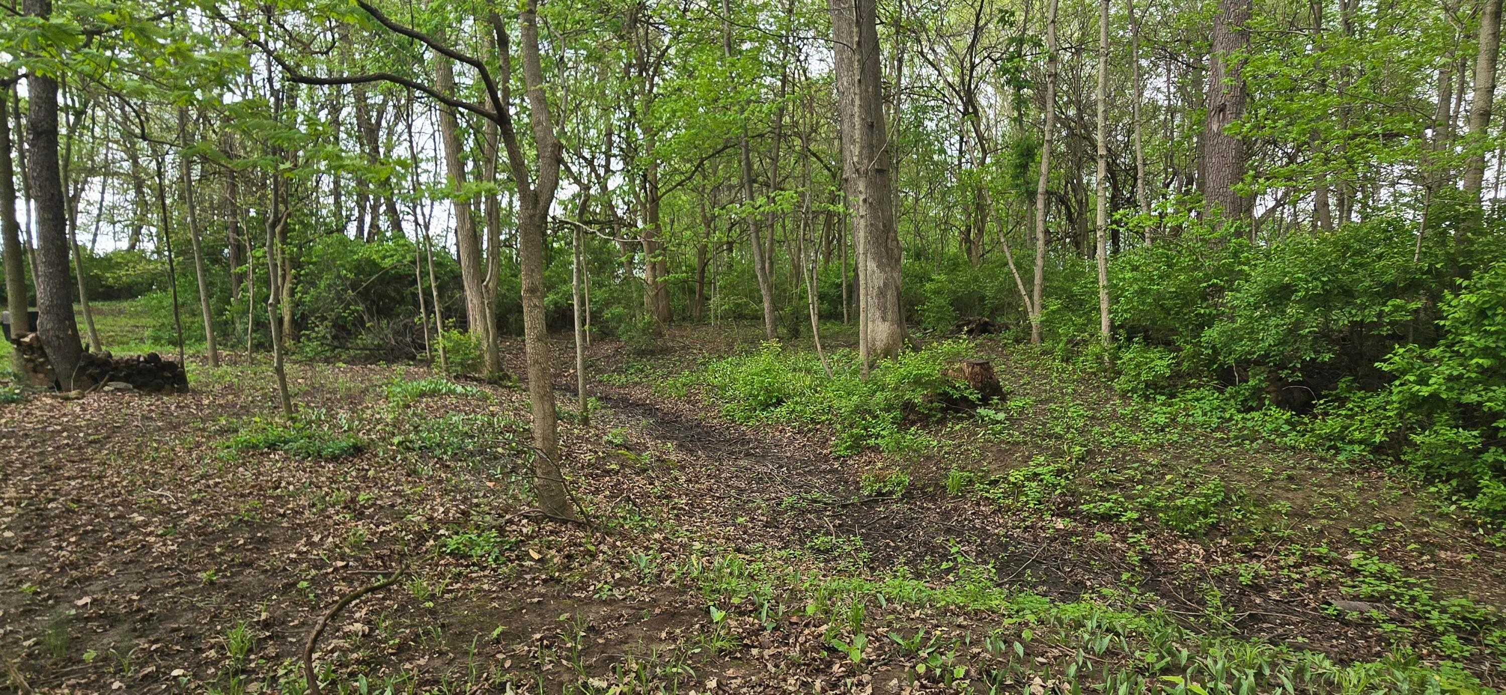 9421 Winchester Road Groveport, OH 43125 - Photo 46 of 55 1000006088