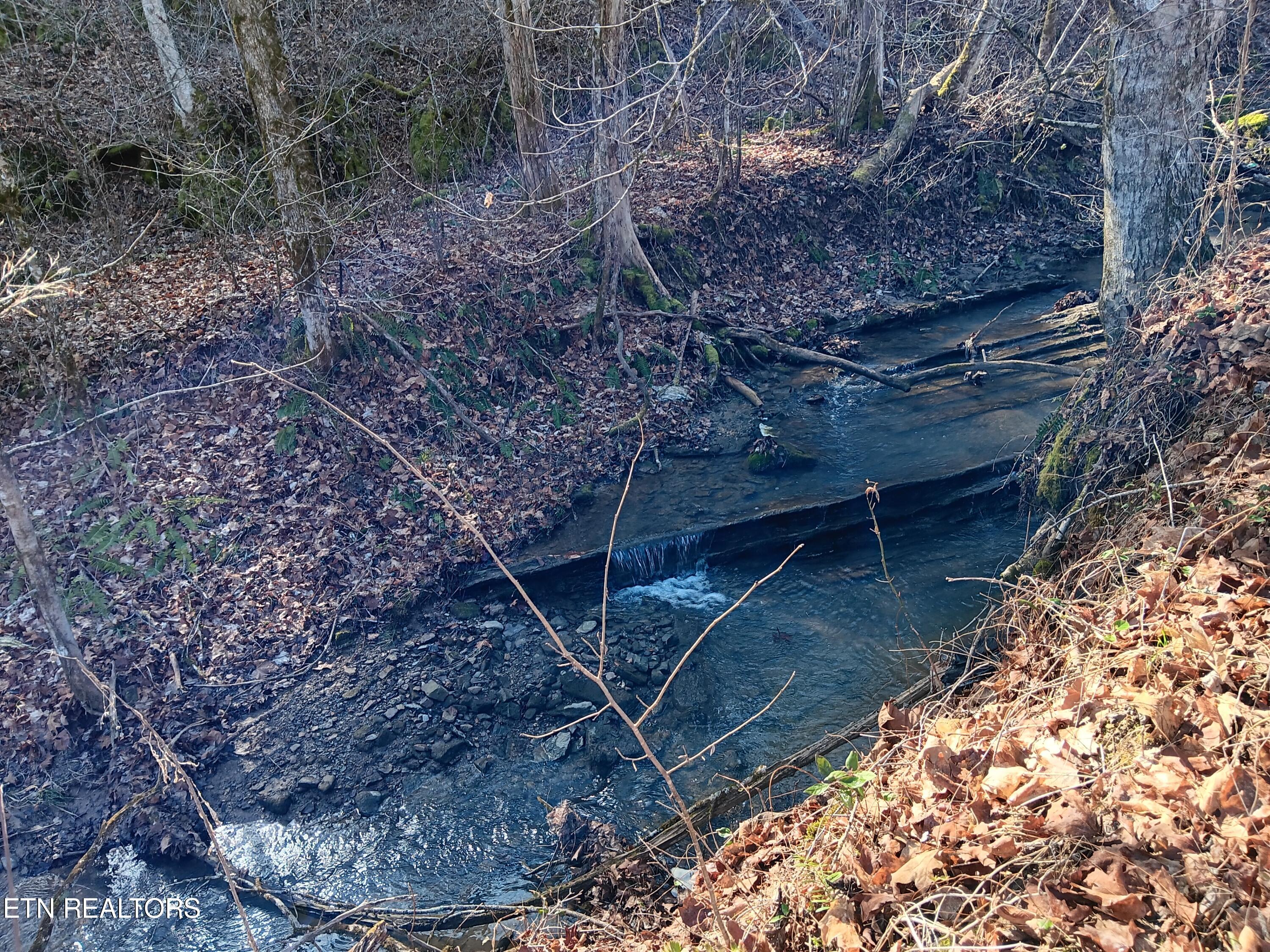 0 Cracker Neck Road Washburn, TN 37888 - Photo 16 of 19 20240225_103702