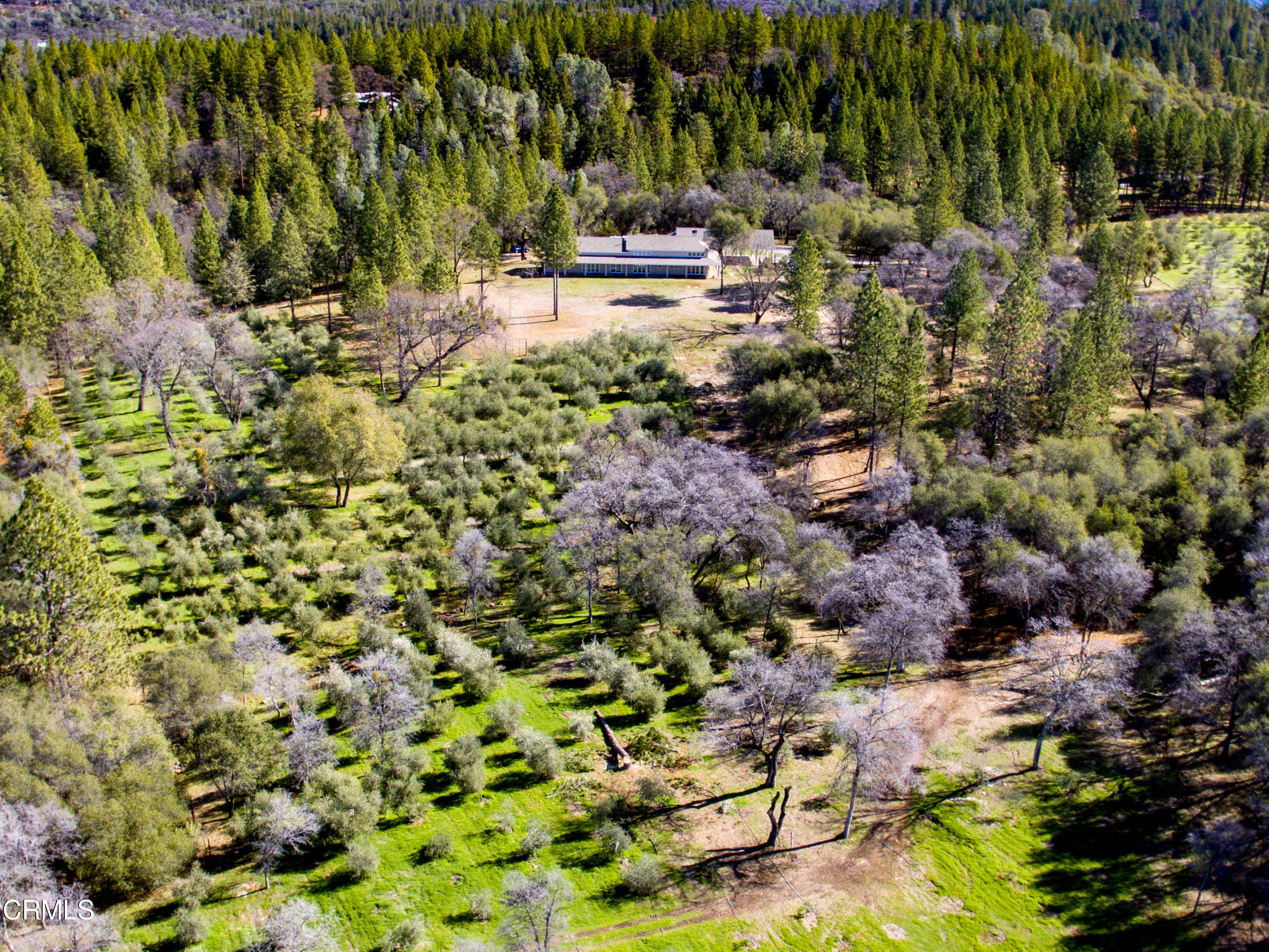 4000 Twin Ridges Road Garden Valley, CA 95633 - Photo 17 of 17 a view of outdoor space and yard