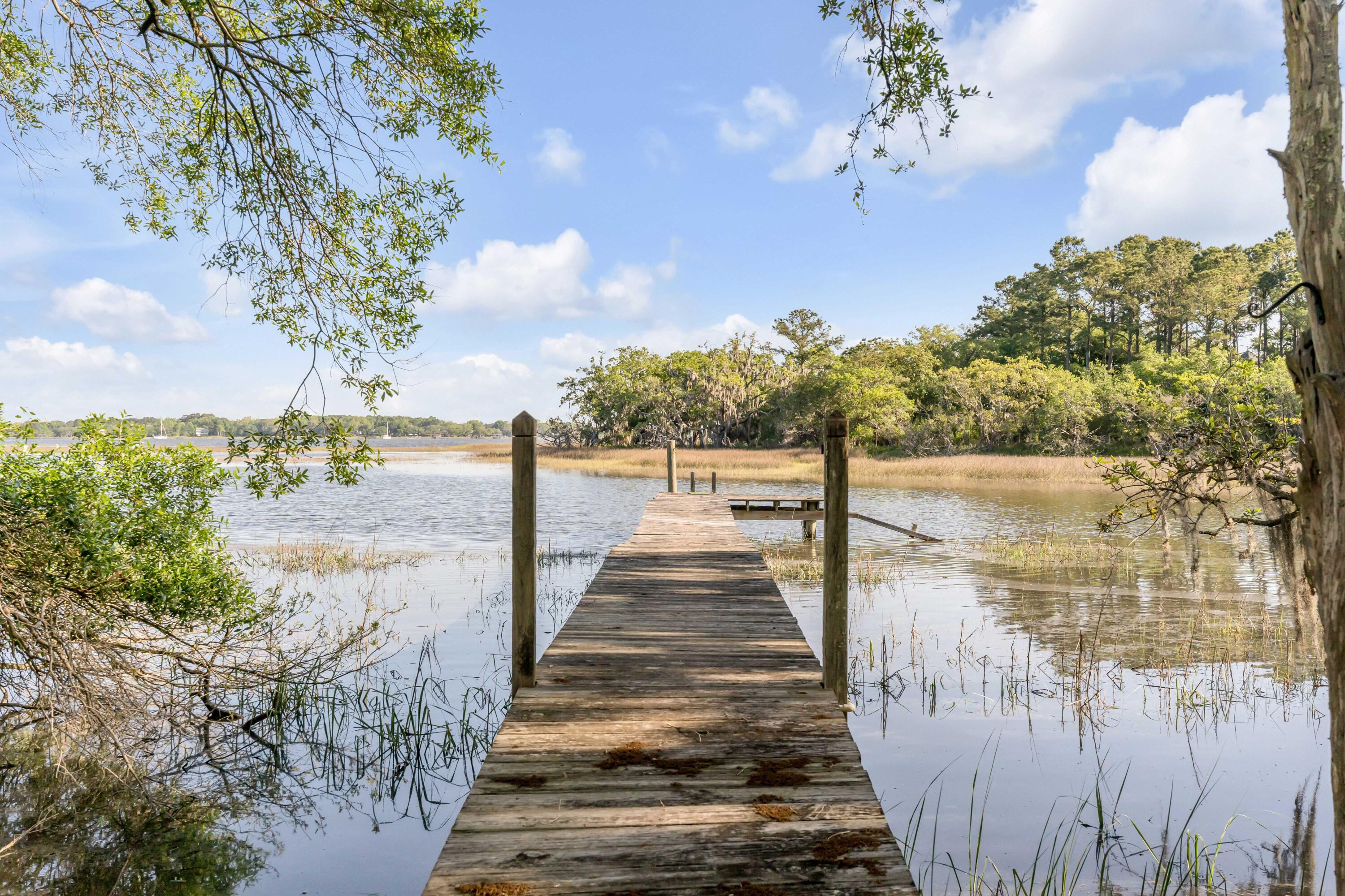 1310 Martins Point Road Wadmalaw Island, SC 29487 - Photo 44 of 83 DSC04170