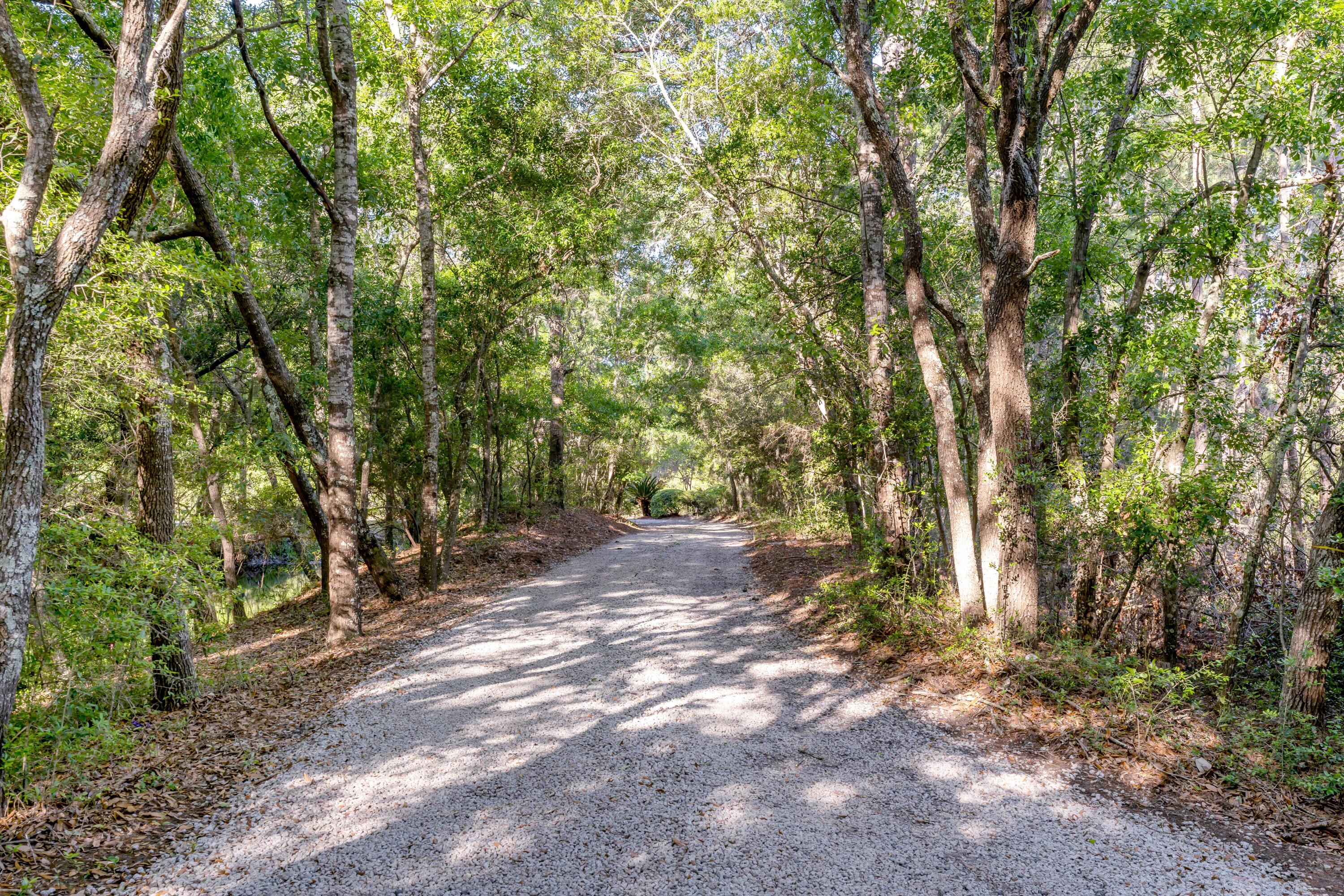 1310 Martins Point Road Wadmalaw Island, SC 29487 - Photo 46 of 83 DSC04178
