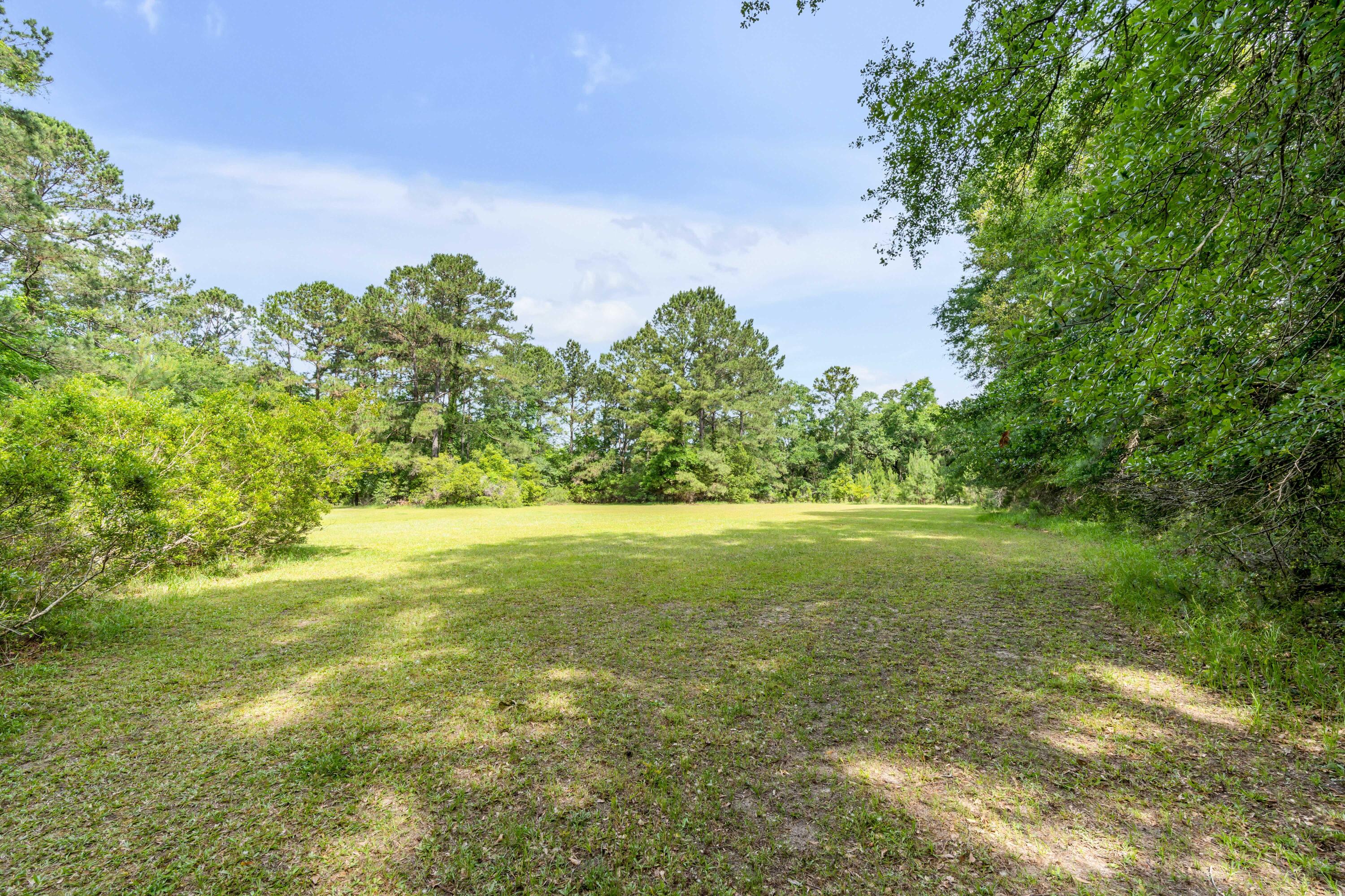 1310 Martins Point Road Wadmalaw Island, SC 29487 - Photo 63 of 83 DSC03390