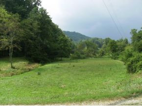 4301 Paint Fork Road Mars Hill, NC 28754 - Photo 11 of 12 Photo 11