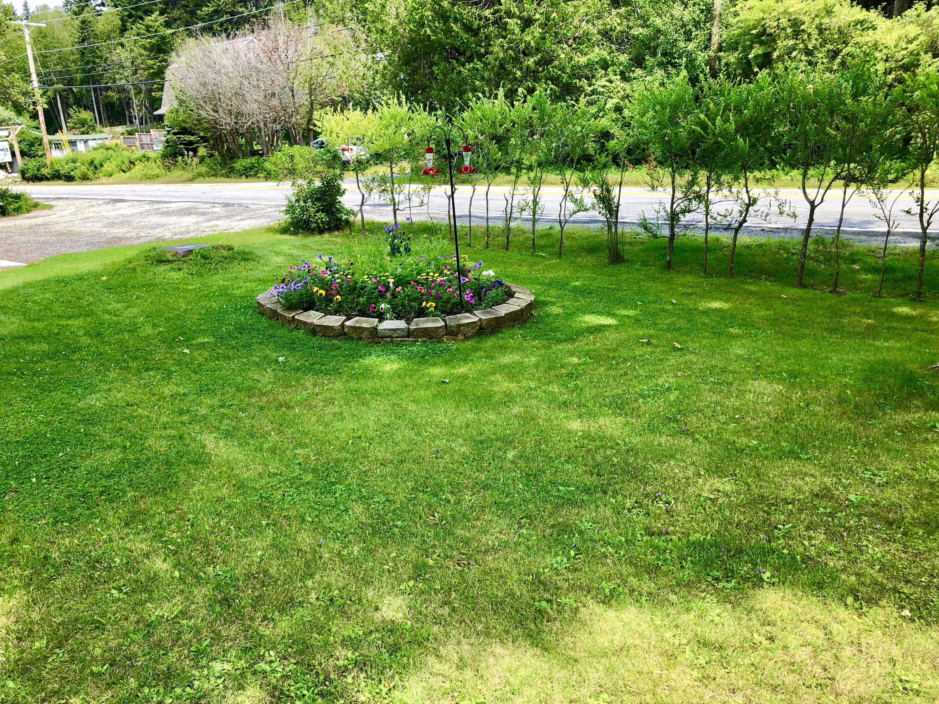 1512 Tremont Road Tremont, ME 04674 - Photo 35 of 39 Front yard