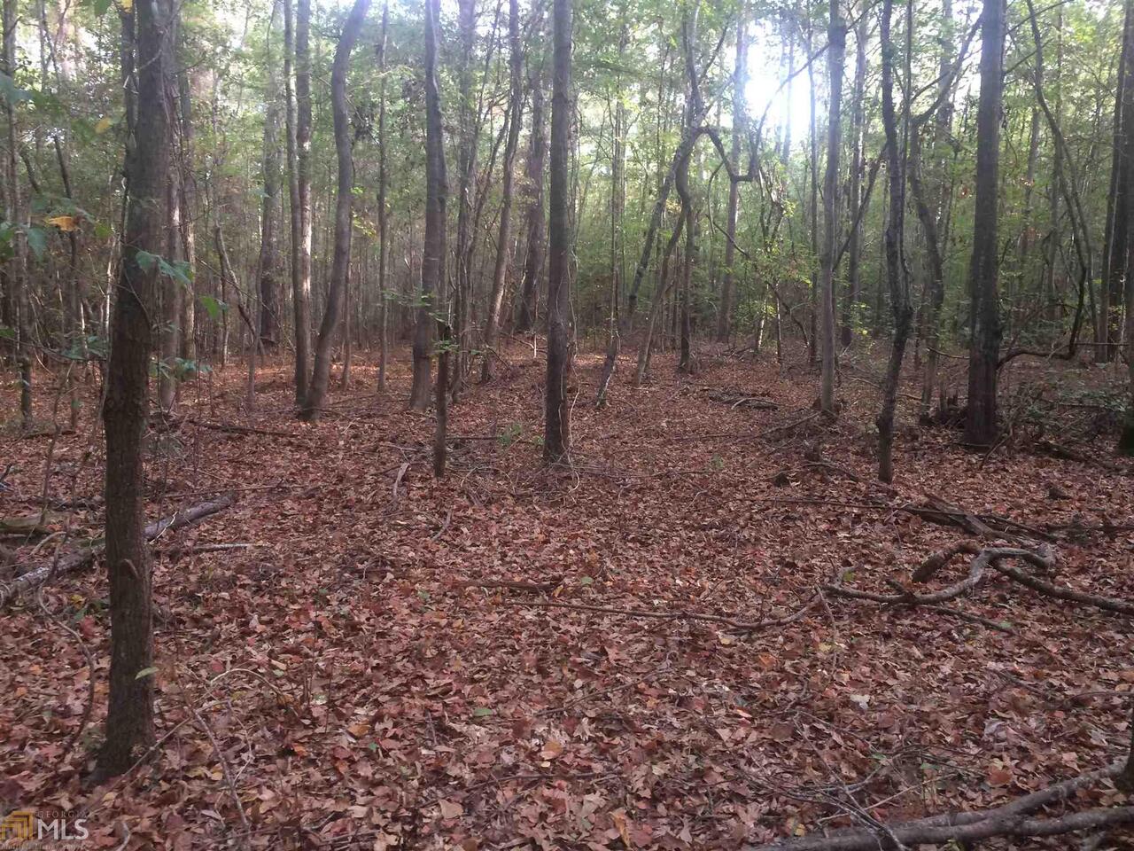 0 Weems Road Molena, GA 30258 - Photo 1 of 1