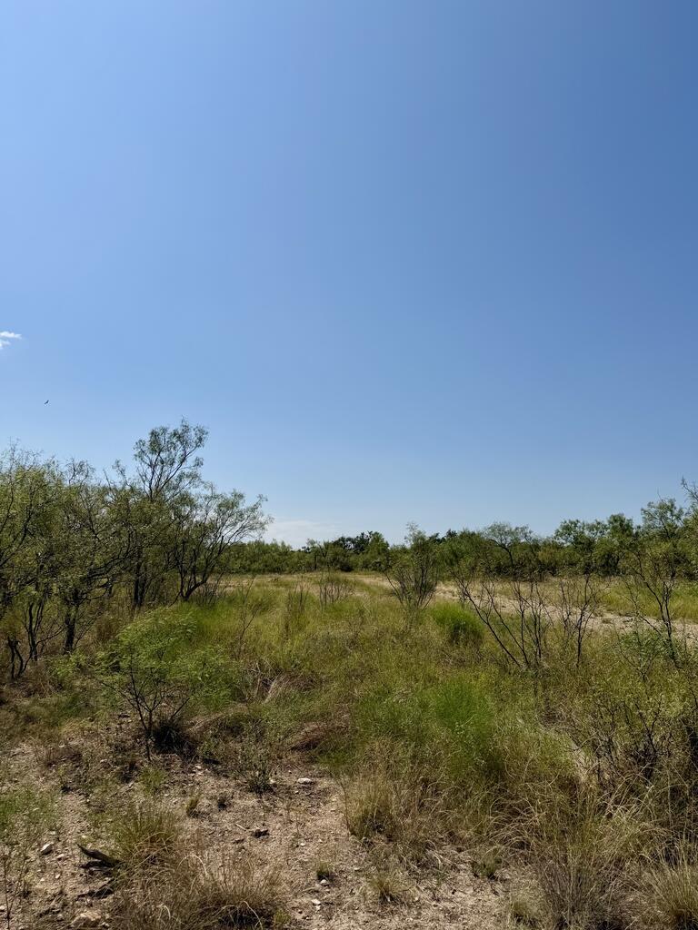 524 South Trap Road Fort McKavett, TX 76841 - Photo 14 of 20 Gallery Image 14