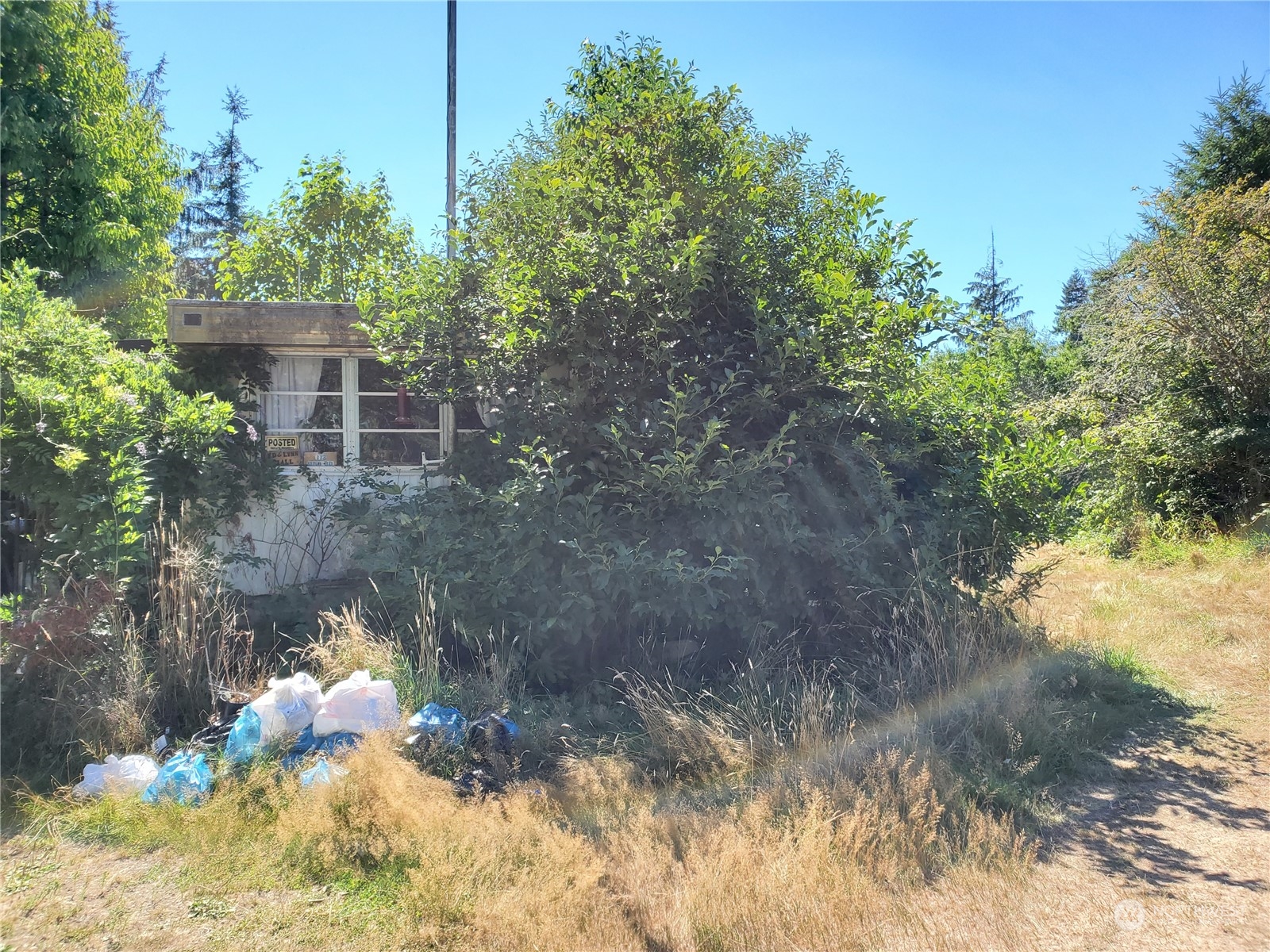 113 Sund Road Elma, WA 98541 - Photo 1 of 1 Gallery Image 1