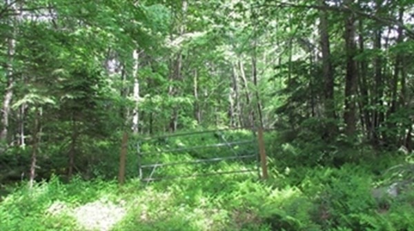 0 Willis Road Phillipston, MA 01331 - Photo 1 of 4 Gallery Image 1