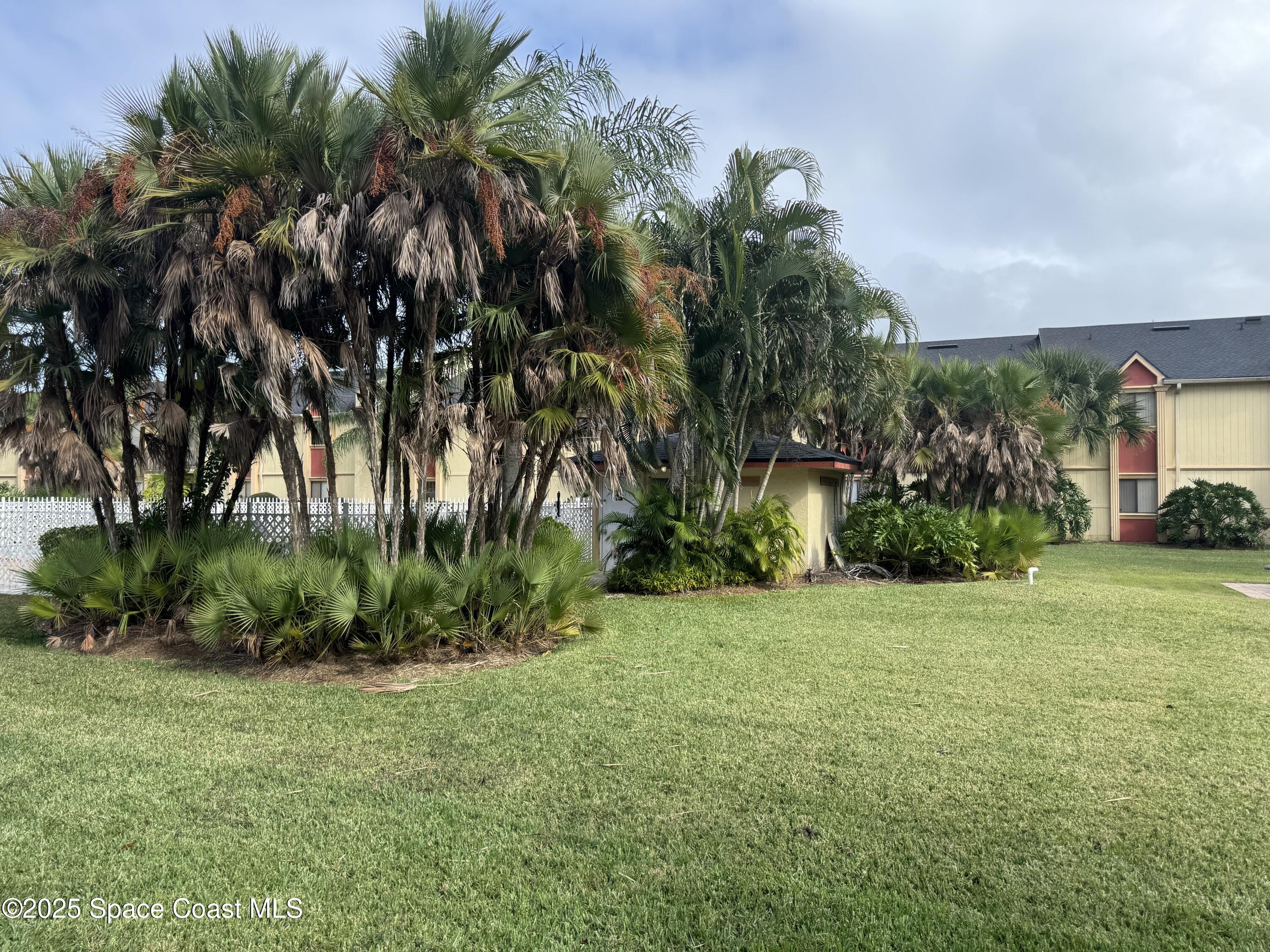 2130 Forest Knoll Drive Northeast, Unit 30208 Palm Bay, FL 32905 - Photo 19 of 19 a view of a yard with palm trees