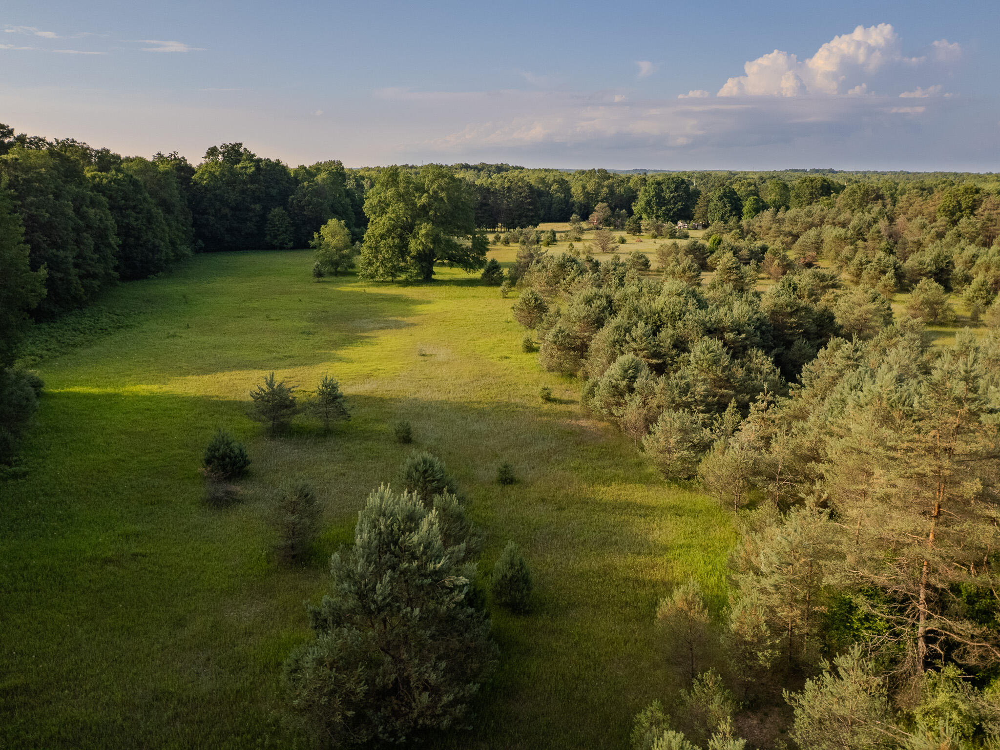 DJI_0927