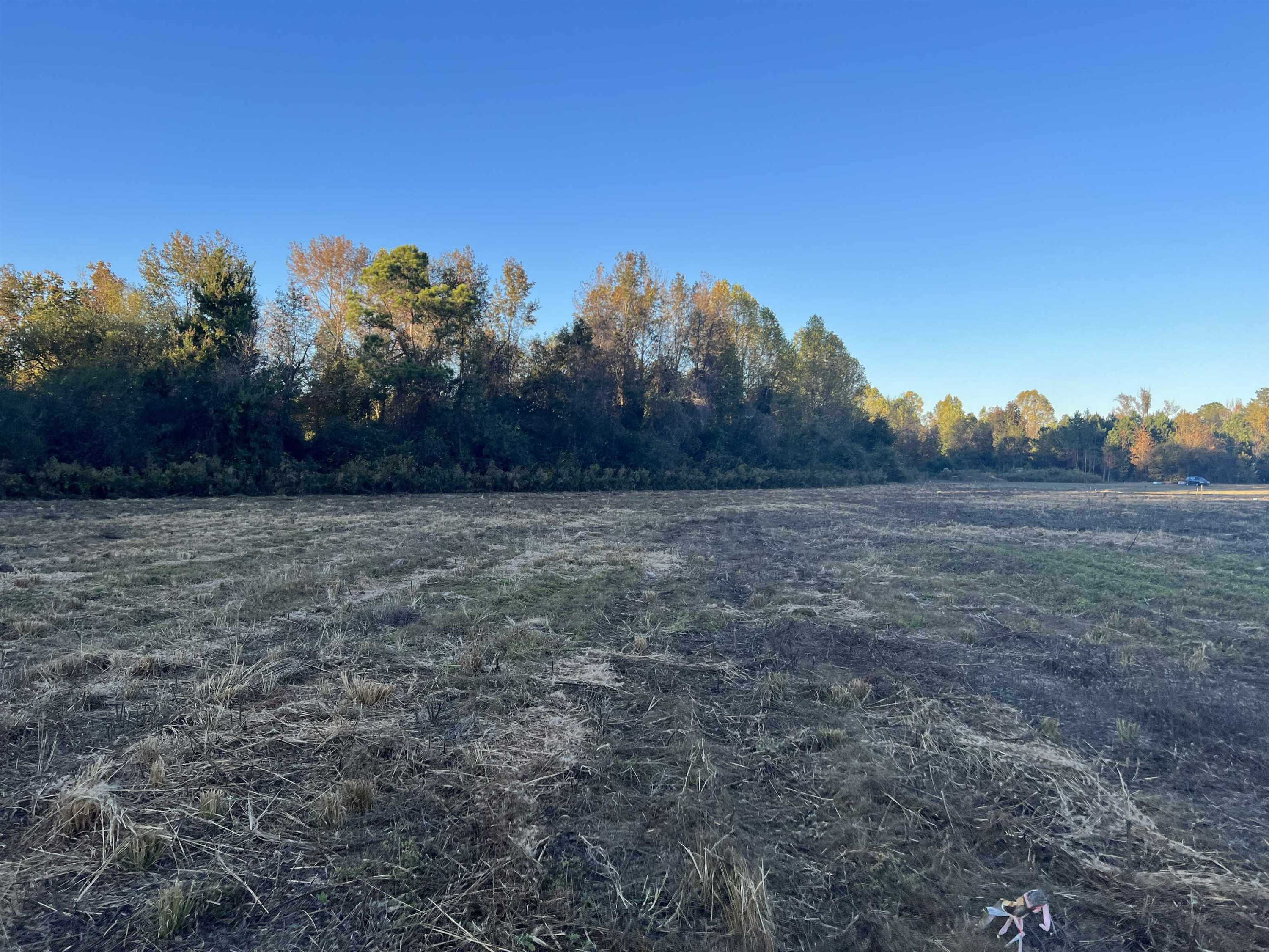Tbd Glover Road Dunn, NC 28334 - Photo 1 of 2 a view of a field