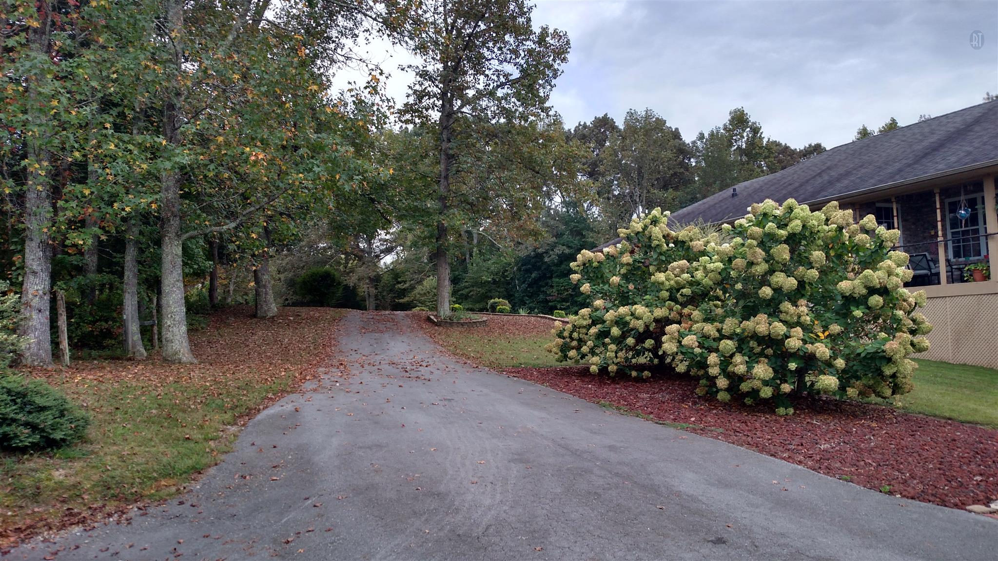 315 Wilson Boat Dock Road Lebanon, TN 37087 - Photo 3 of 29 Gallery Image 3