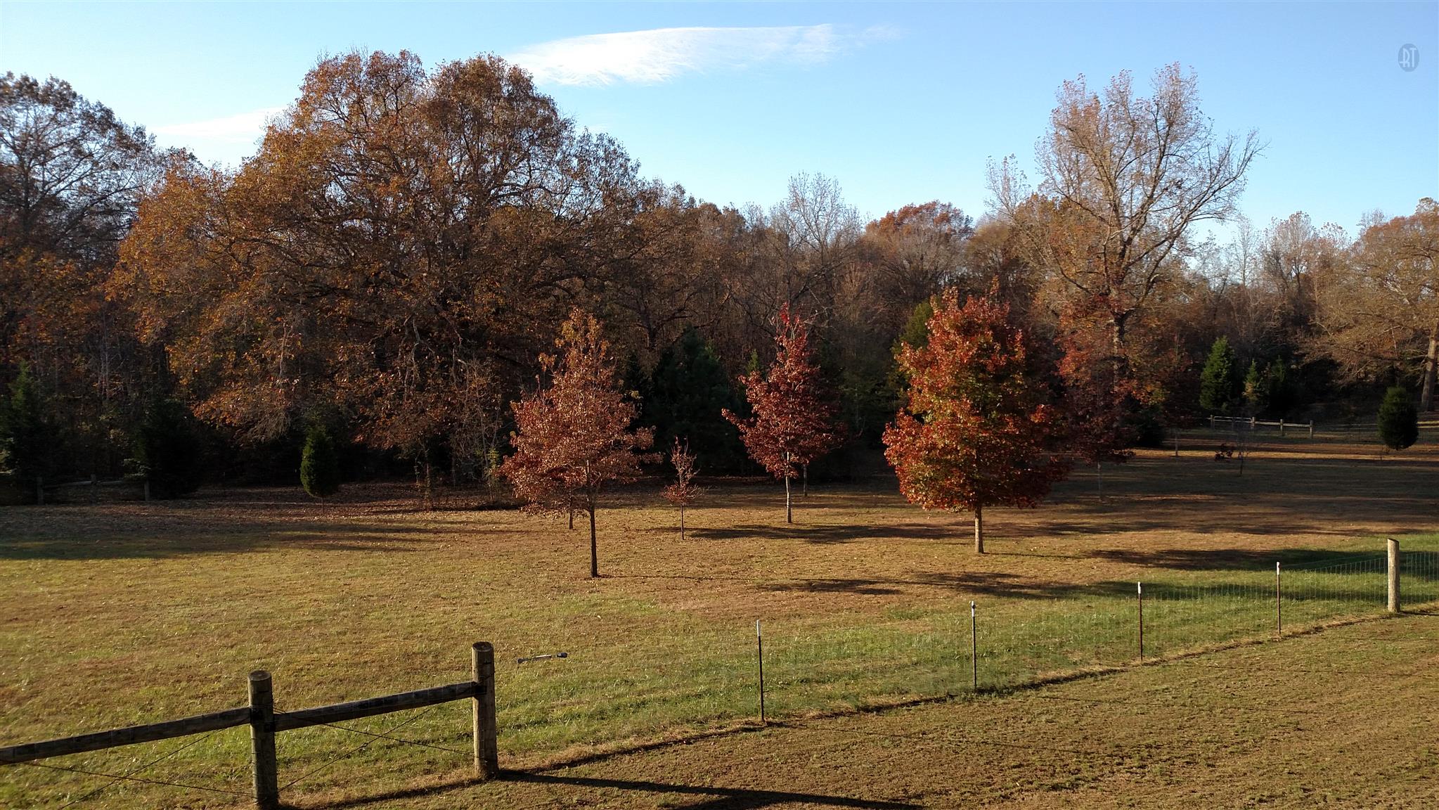 315 Wilson Boat Dock Road Lebanon, TN 37087 - Photo 7 of 29 Gallery Image 7