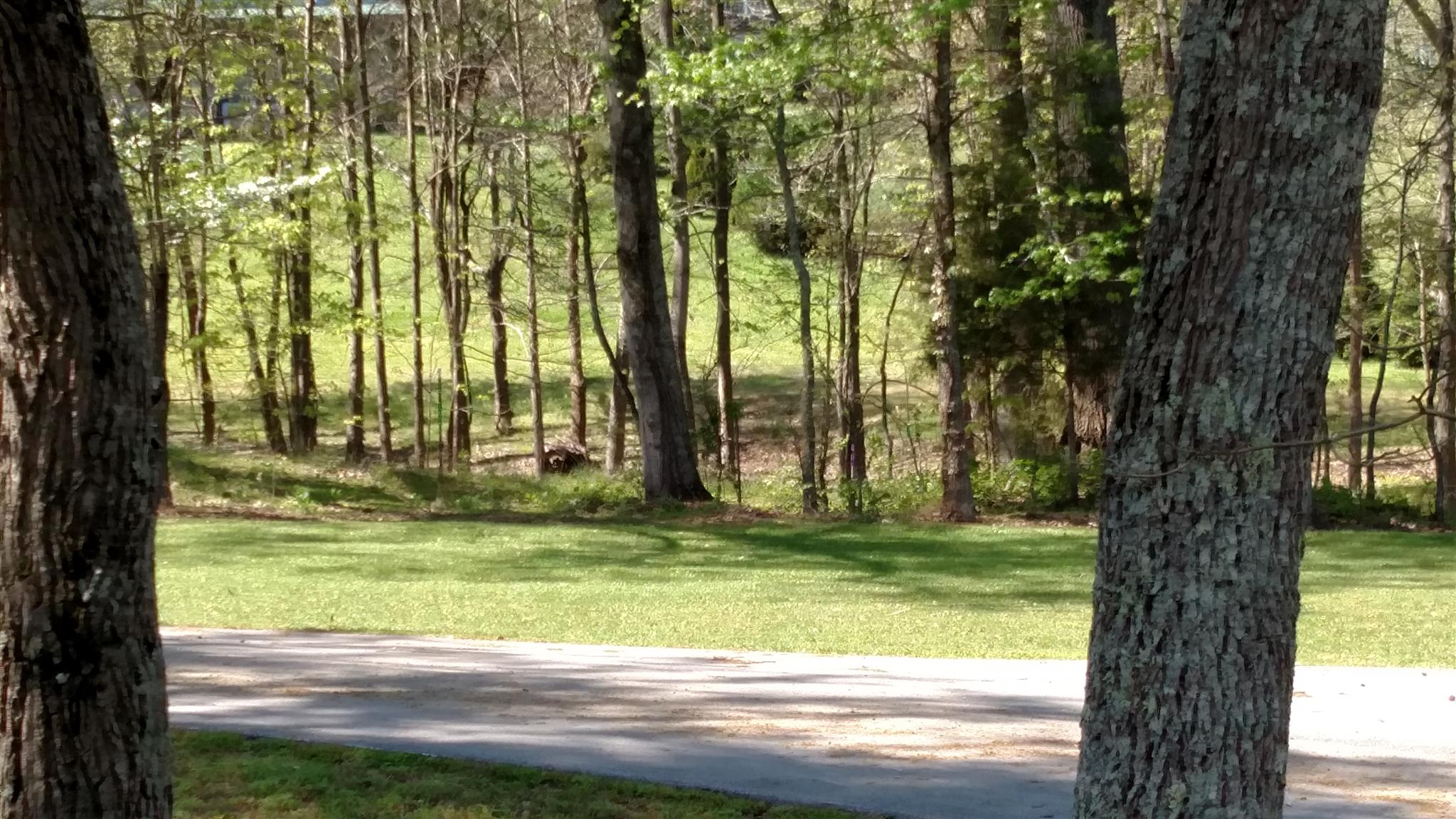 315 Wilson Boat Dock Road Lebanon, TN 37087 - Photo 9 of 29 Gallery Image 9