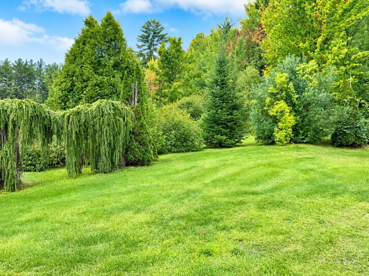 26 East View Road Craftsbury, VT 05826 - Photo 8 of 23 Gallery Image 8