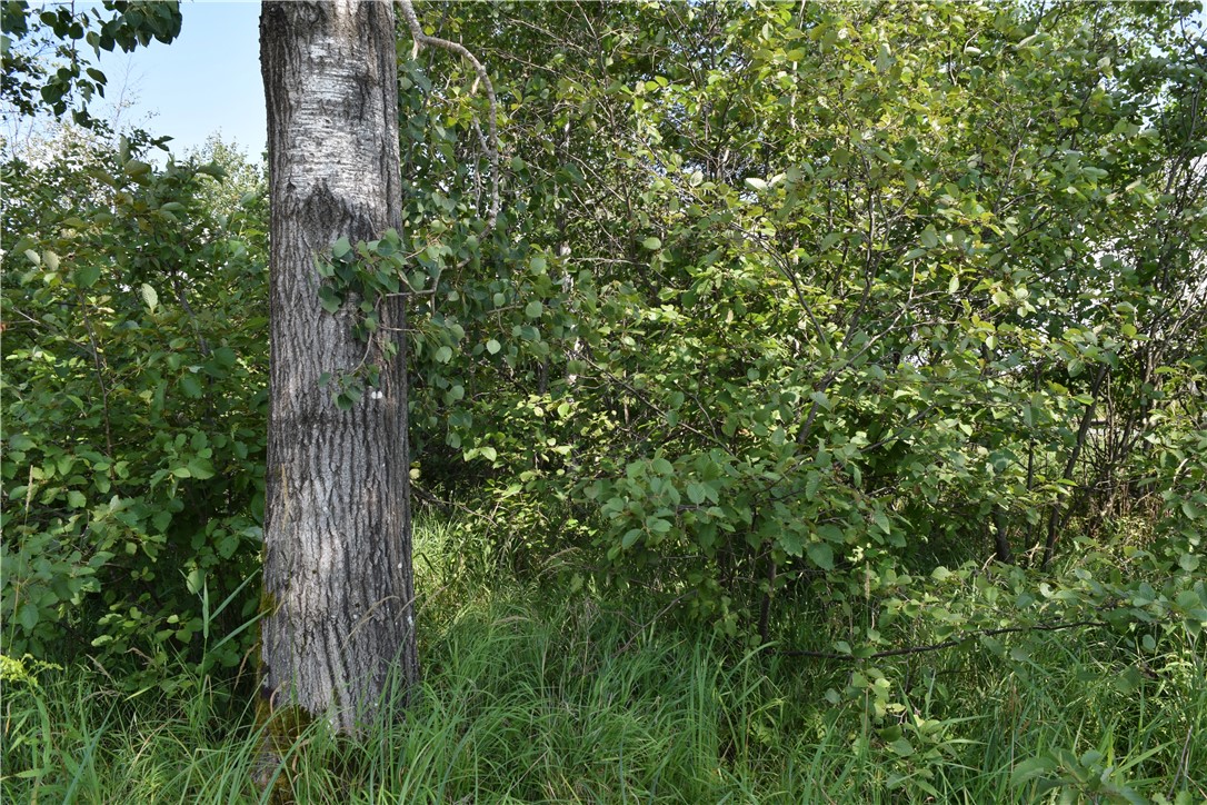 14 Old 14 Road Weyerhaeuser, WI 54895 - Photo 13 of 24