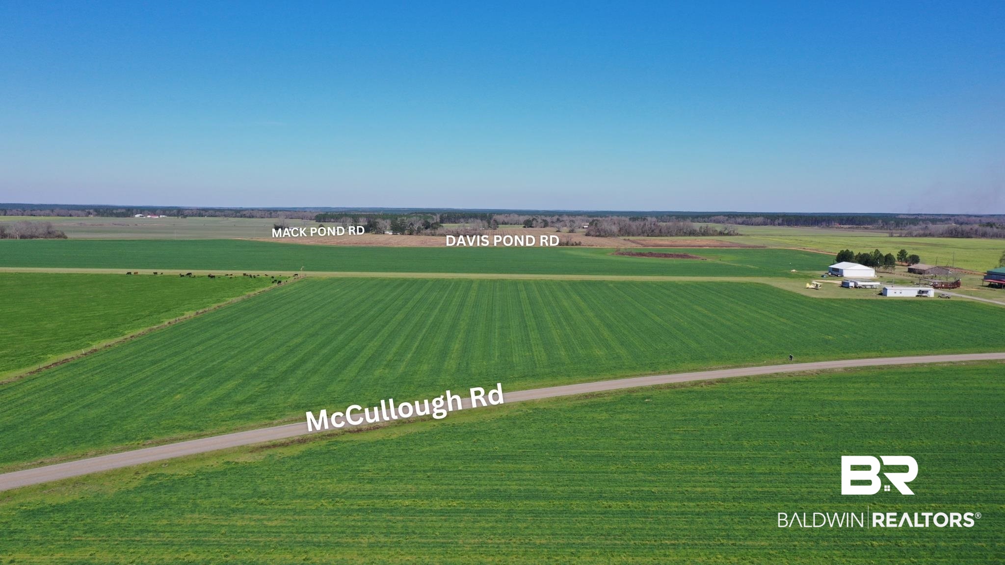 Lot 14 Davis Pond Road Atmore, AL 36502 - Photo 12 of 14