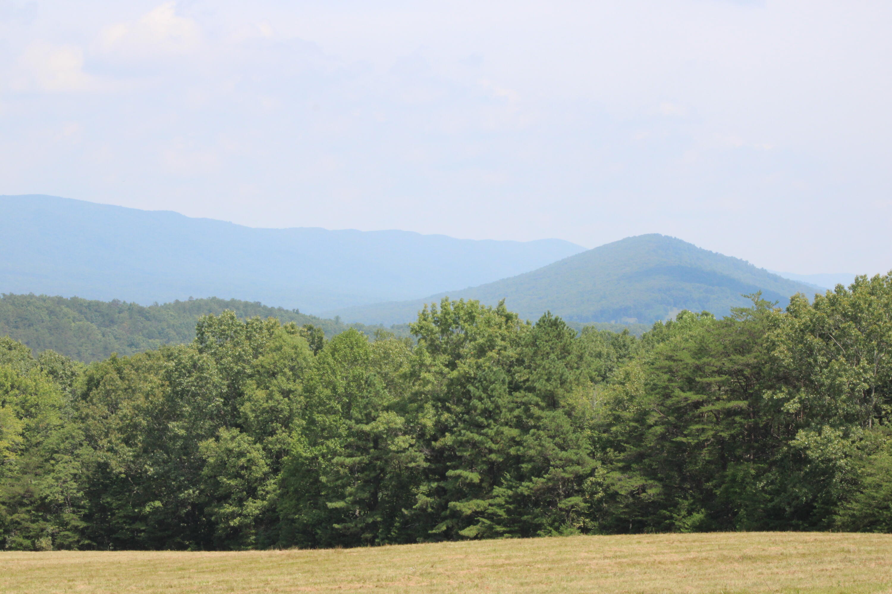 2816 Johns Creek Road New Castle, VA 24127 - Photo 2 of 96 IMG_0010